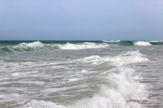 Seascape  274 : image 1