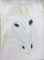 -N*2669-Menashe Kadishman : Thumb 1