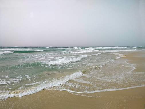 seascape 213 : image 1