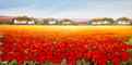 -N* 8969-Nurit Granot-נורית גרנות : Thumb 1