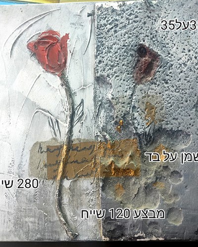 SALES-שמן על בד 380 שייח מבצע 120 שייח
