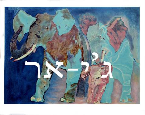 Edwin Salomon ליטוגרפיה-451 : image 1 Edwin Salomon ליטוגרפיה-451 : image 1