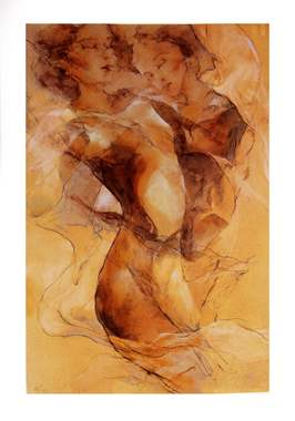 C.Brimet-620 : image 1 C.Brimet-620 : image 1