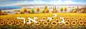 חמניות  Victoria Luck    494 : Thumb 1 חמניות  Victoria Luck    494 : Thumb 1
