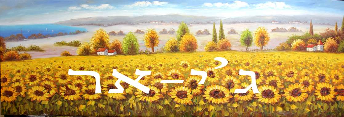 חמניות  Victoria Luck    494 : image 1 חמניות  Victoria Luck    494 : image 1