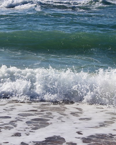 Seascape 217