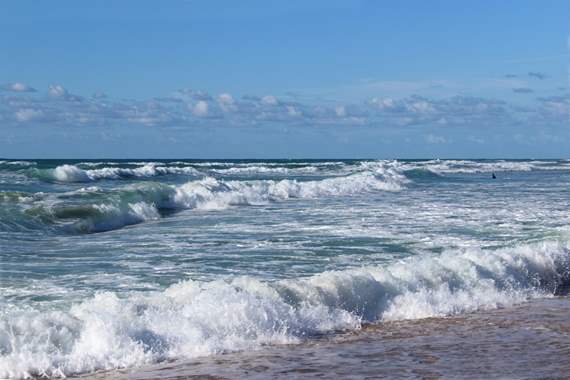 Seascape  219  : image 1