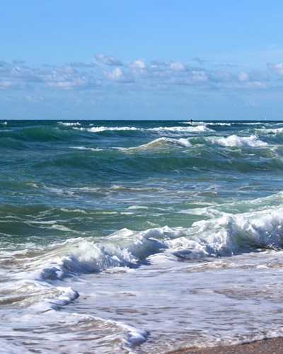 צילום ים 2225