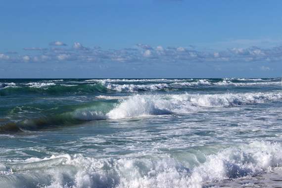 צילום ים 223 : image 1