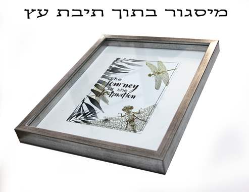 דוגמא מיסגור בתוך תיבה- 501 : image 1