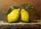 -N* 8494-Lada Lapidus-לדה לפידוס : Thumb 1